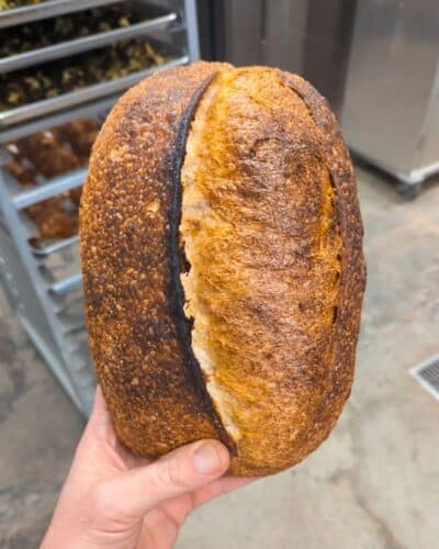 Deck oven is best for bread