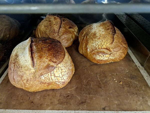 Bread baked in Mono mini deck oven